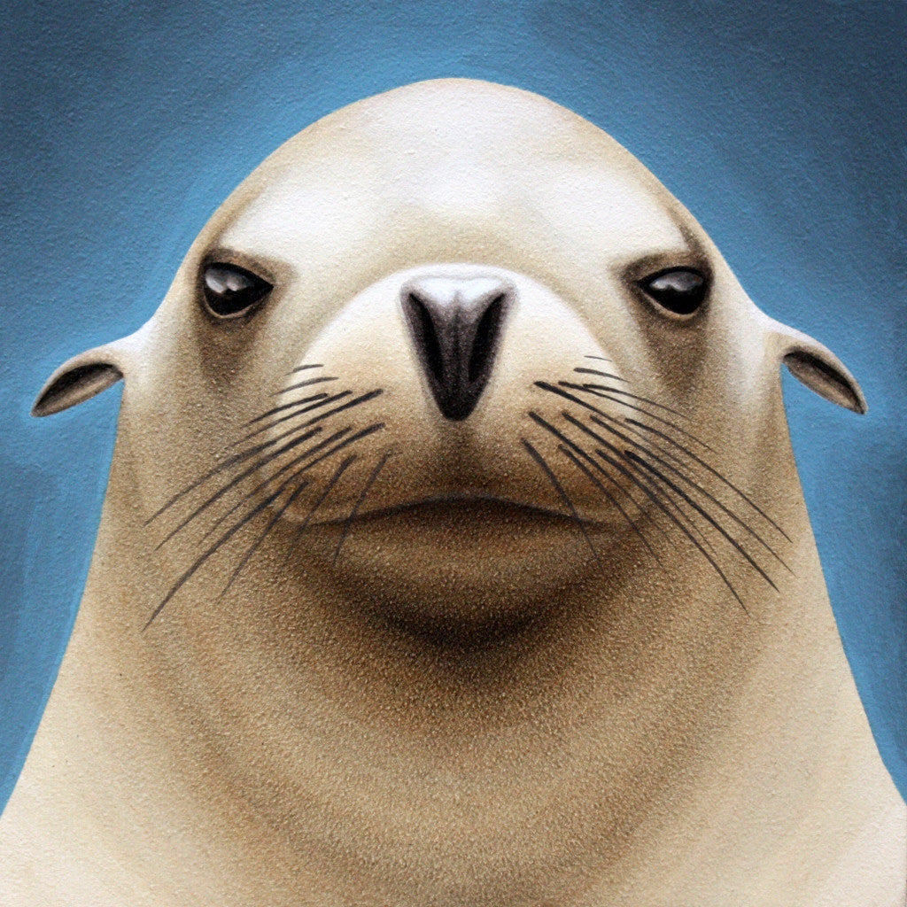 Sea Lion