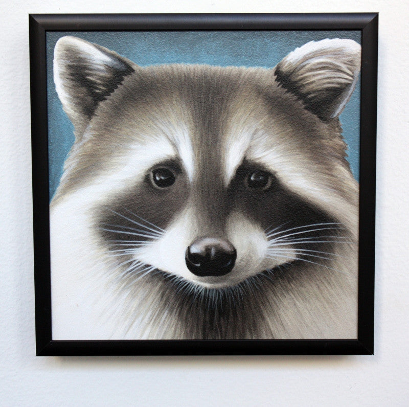 Raccoon