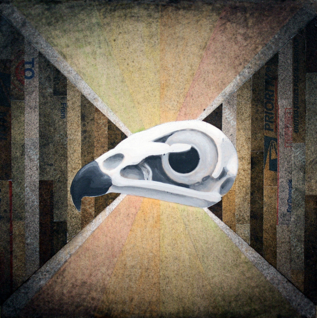 Hawk Skull