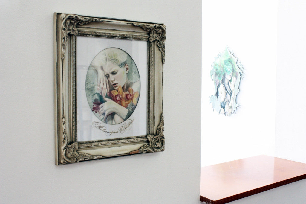 Phaelenopsis Orchidee