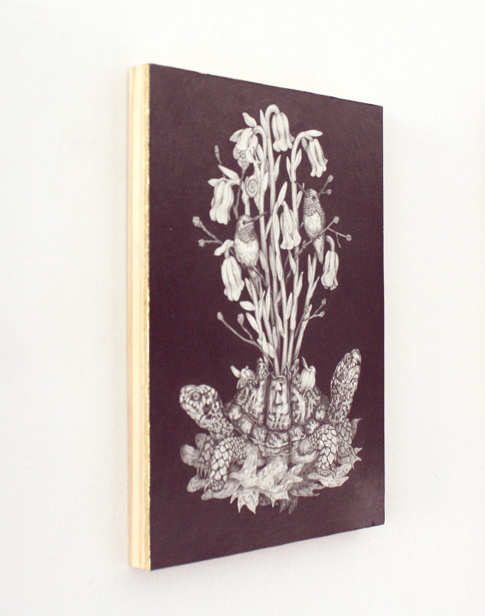 Turtle and Mushrooms