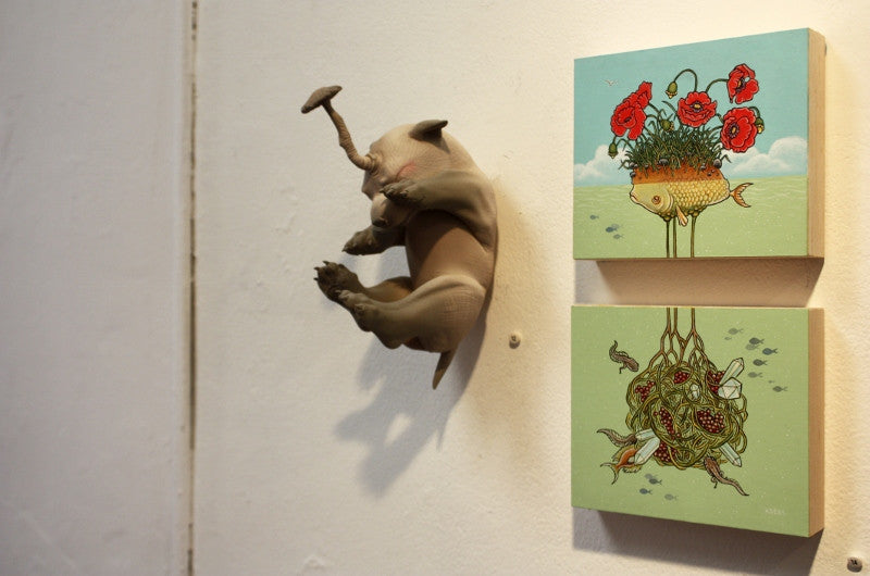 The Elusive Flora Fish