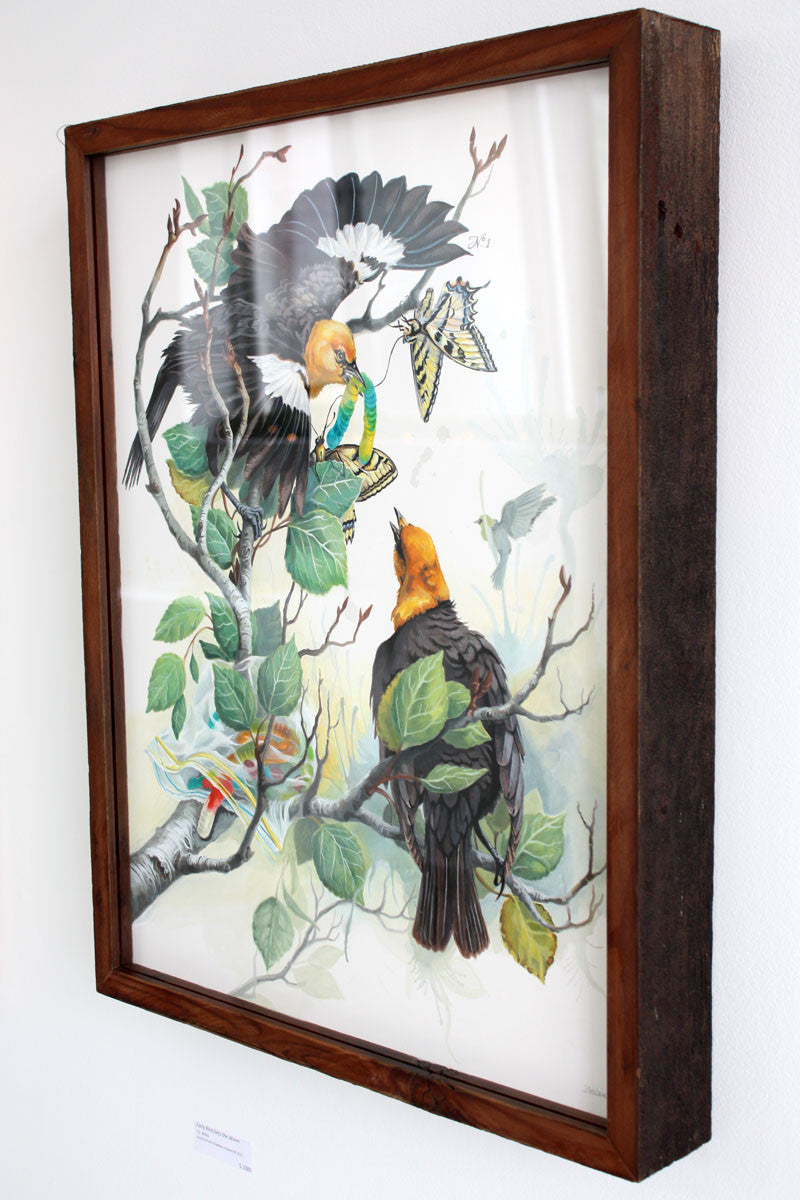 Early Bird Gets the Worm