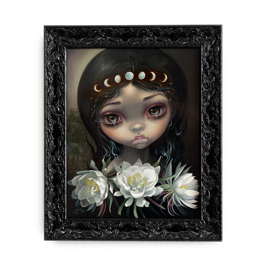 Queen of the Night Blooms