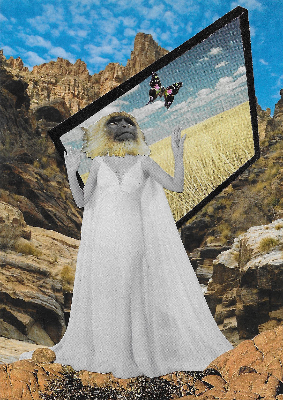 Melissa's Pretty Goddamned Dreams