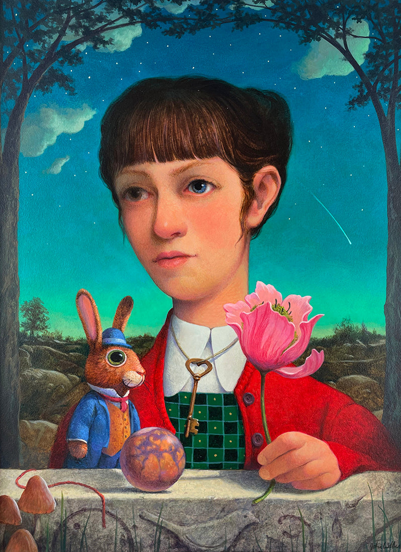 The Night the Sky Fell