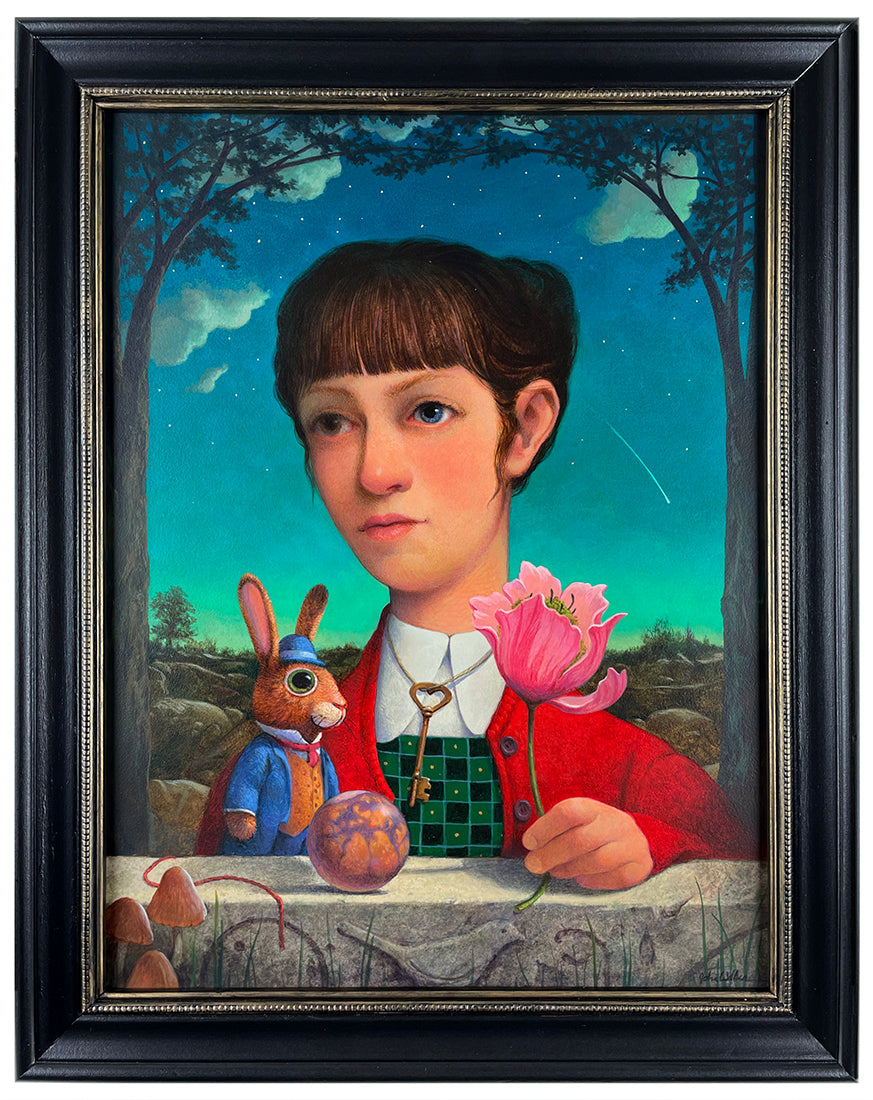 The Night the Sky Fell