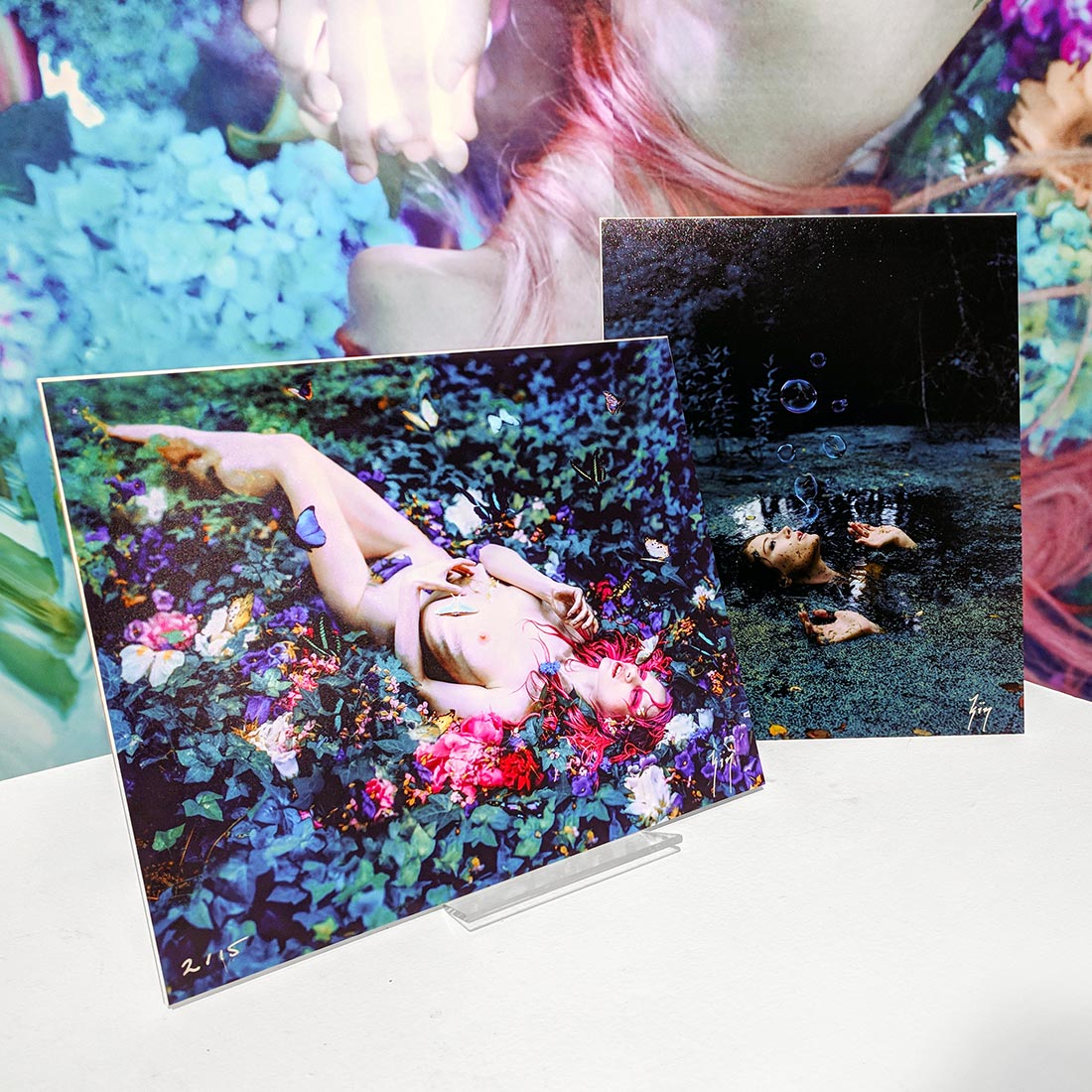 Evolver Fine Art Print