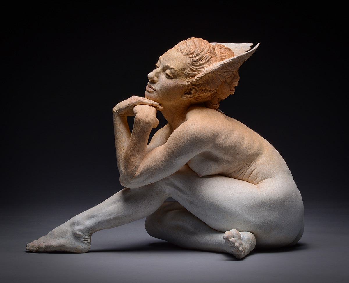 Dove Dreams of Flying