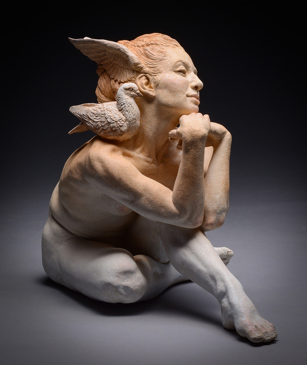 Dove Dreams of Flying