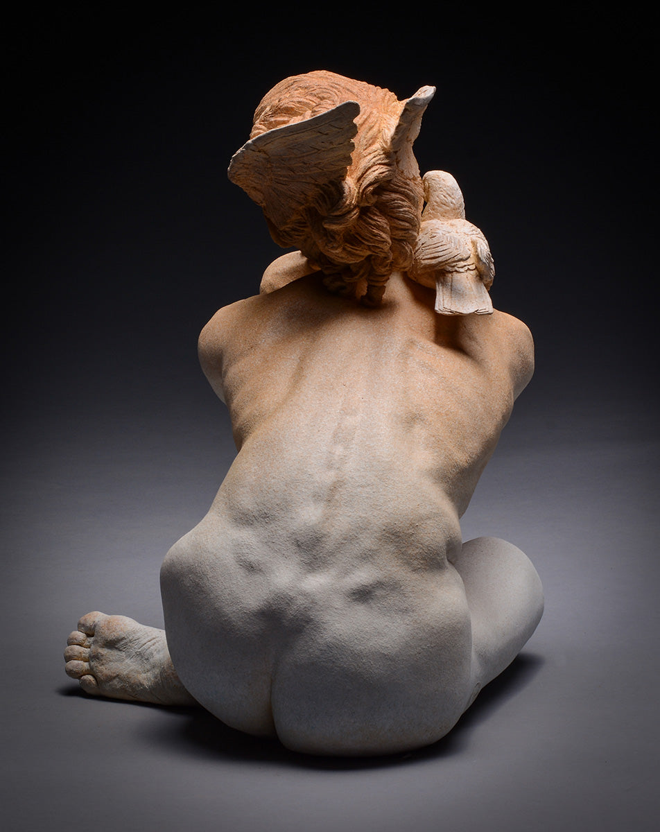 Dove Dreams of Flying