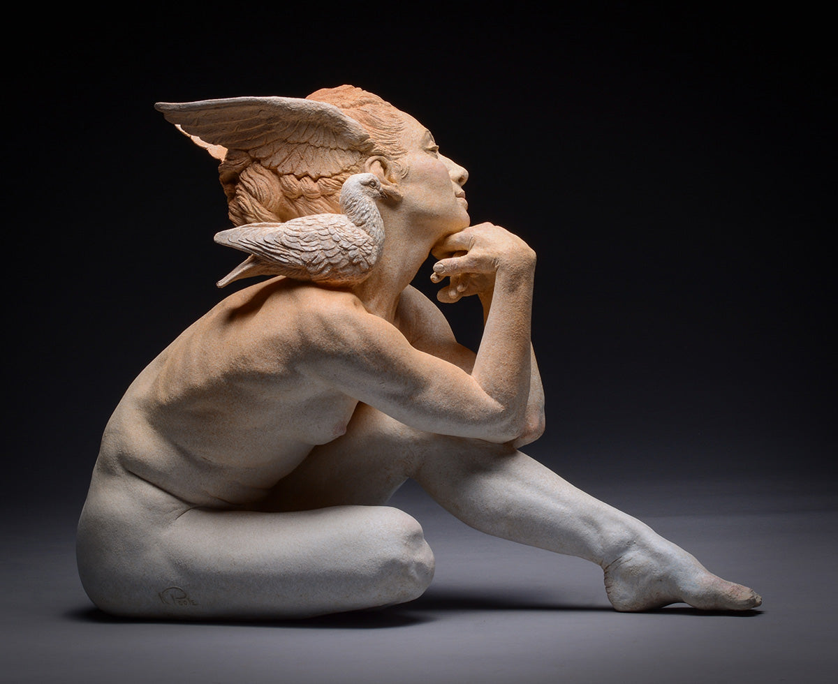 Dove Dreams of Flying