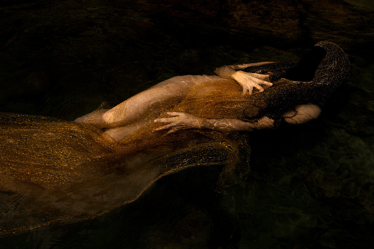 Where Dreams Inhabit