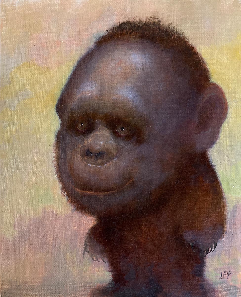 Baby Sasquatch, Study