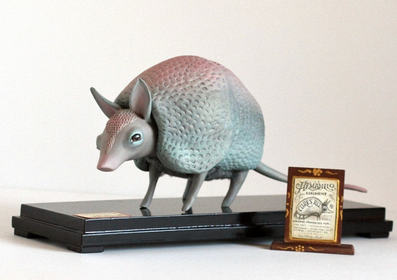 Curative Properties (The Magical Armadillo)