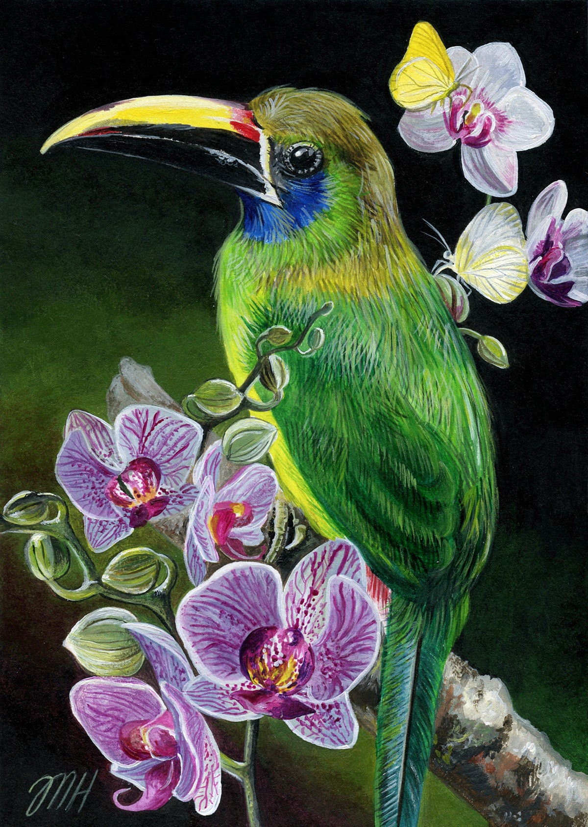 Emerald Toucanet