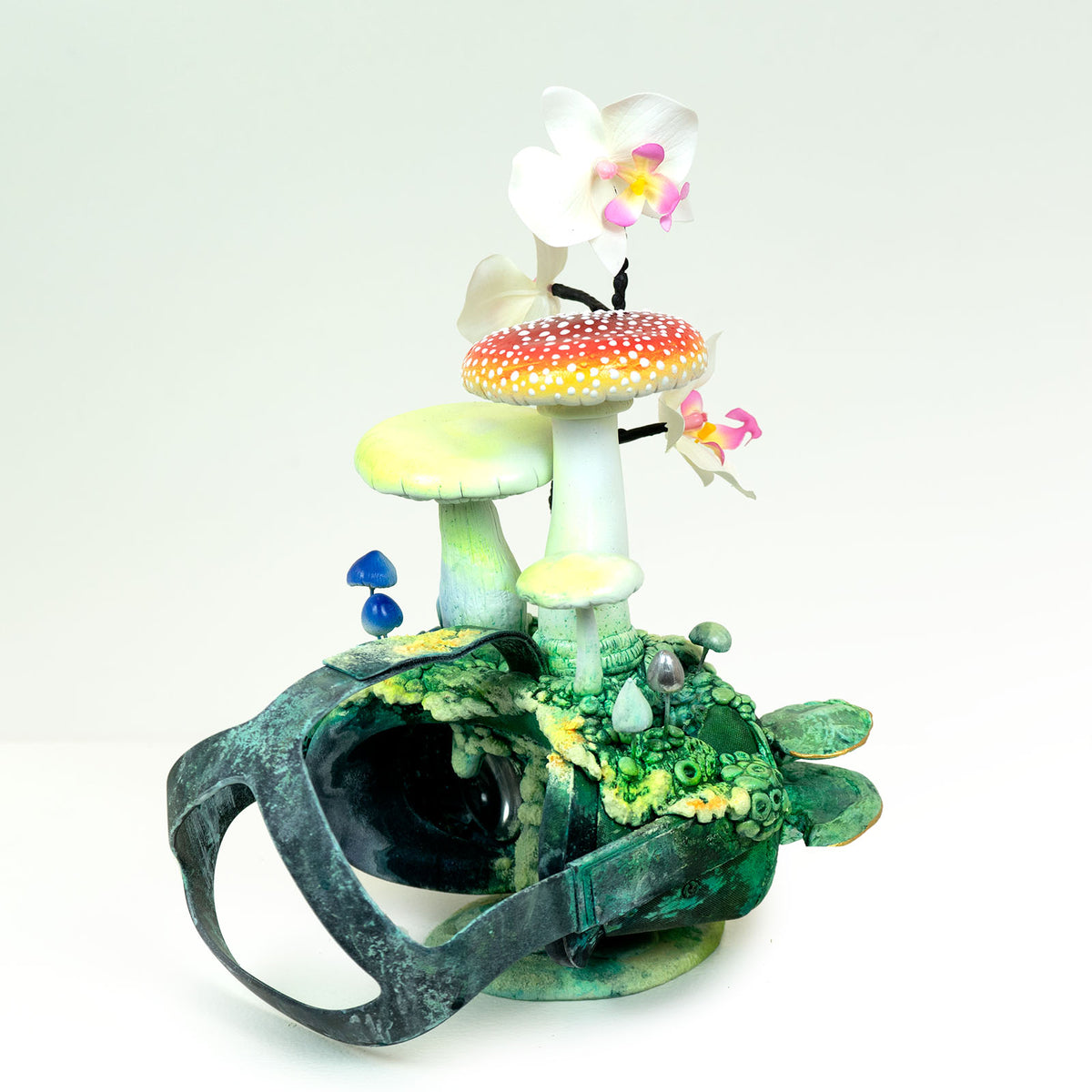 In the Kingdom of the Blind