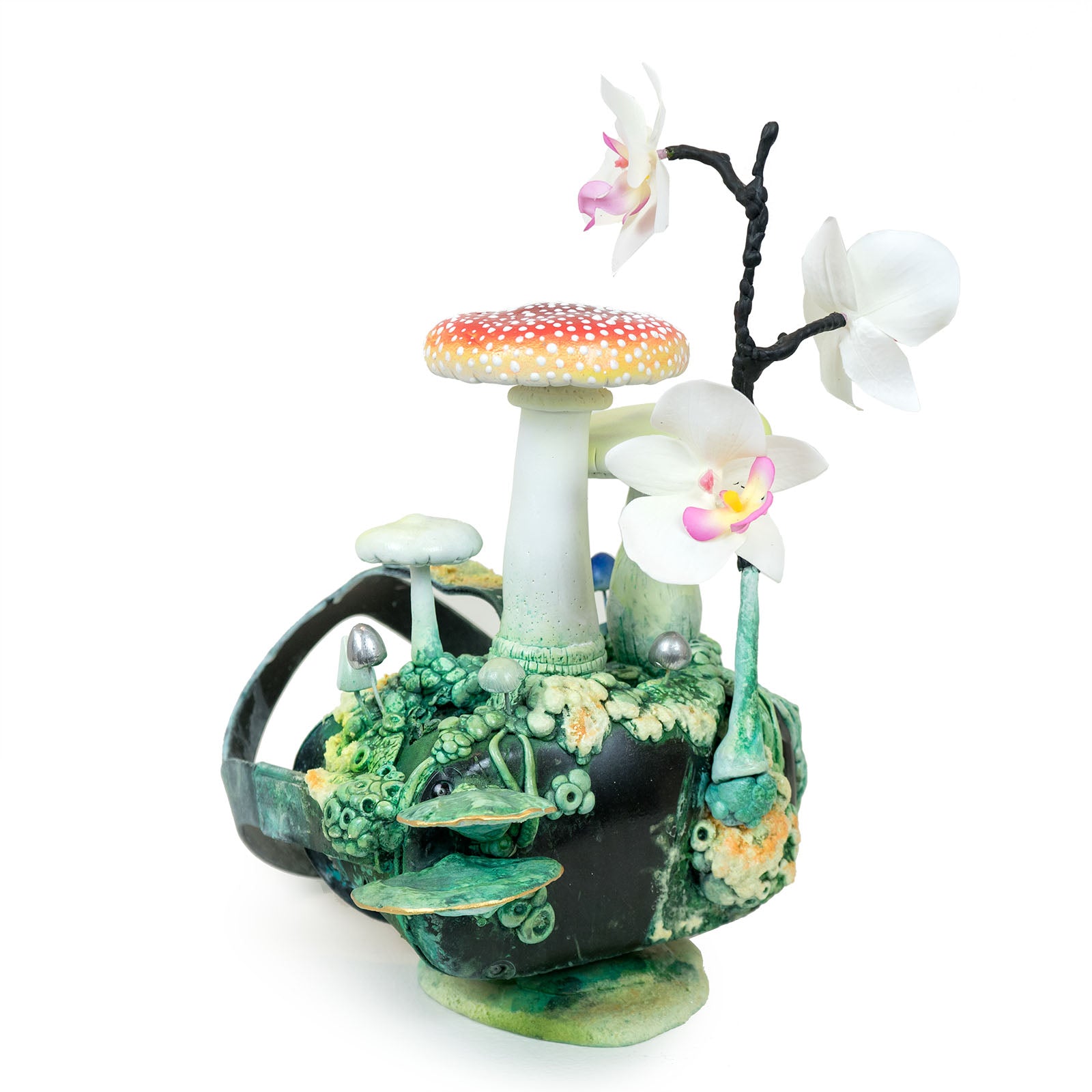 In the Kingdom of the Blind