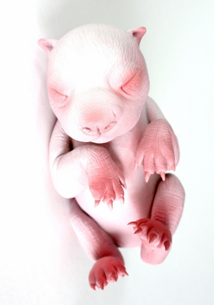 Newborn III