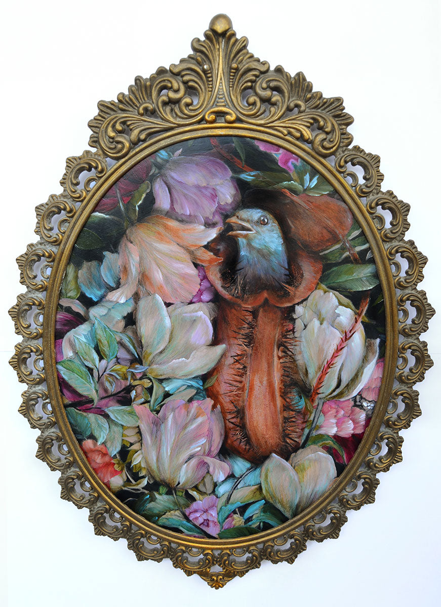 Struggle and Persuasion of an Anonymous Carnivore