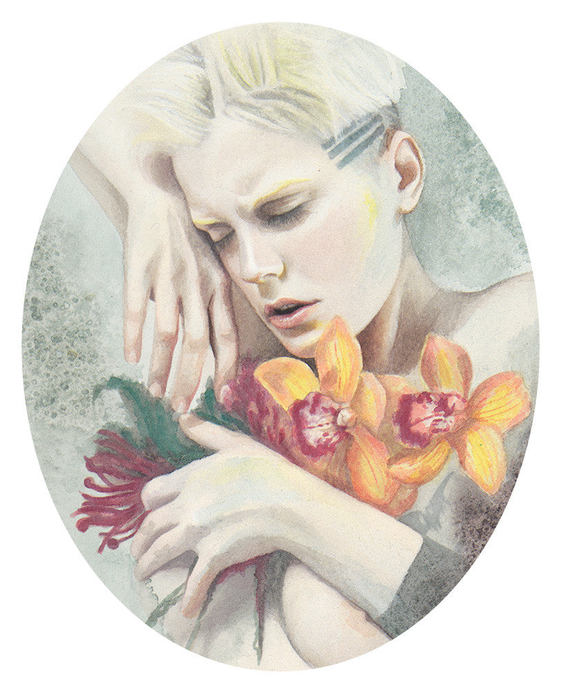 Phaelenopsis Orchidee