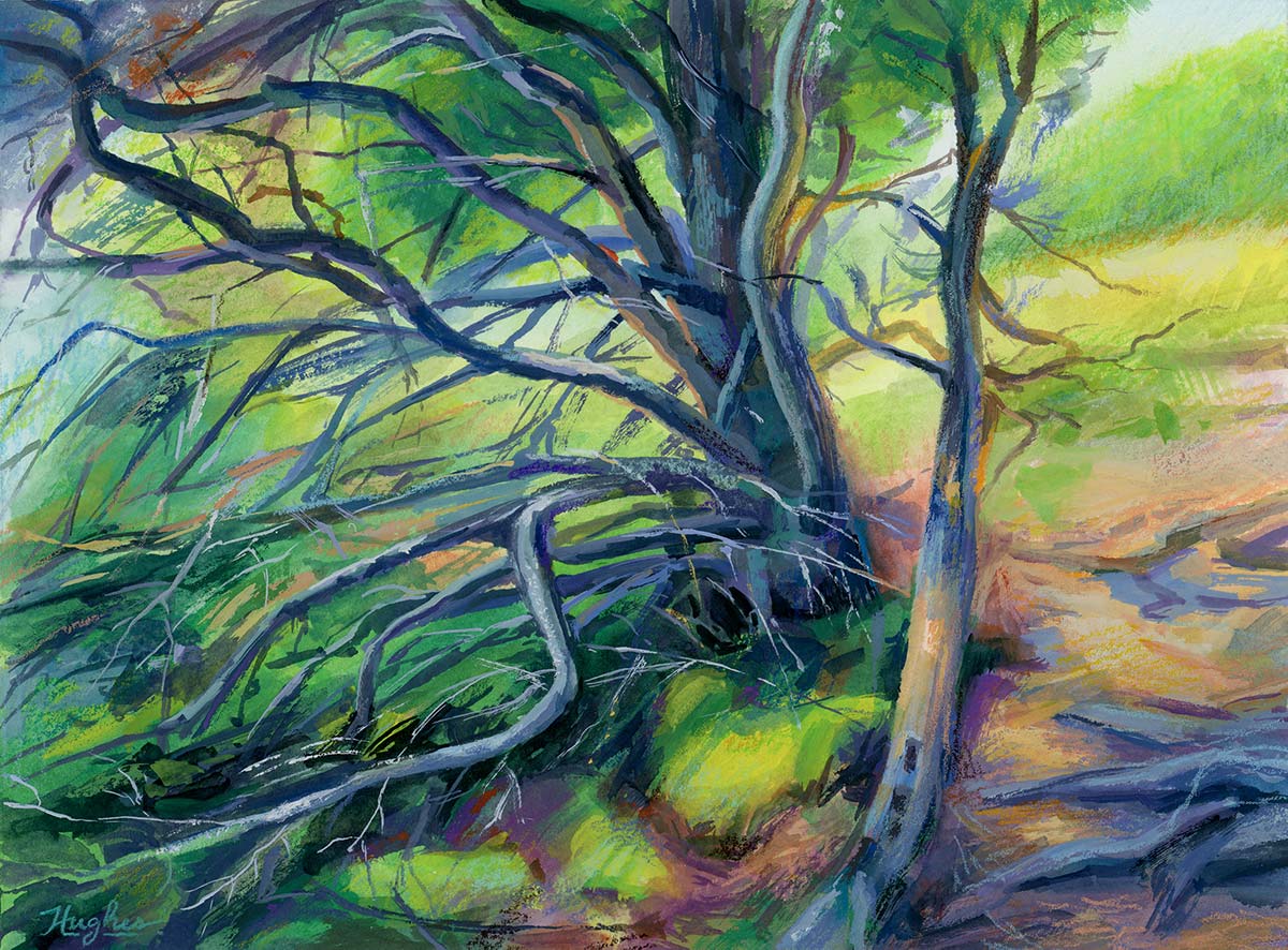 Old Guard on the Hill