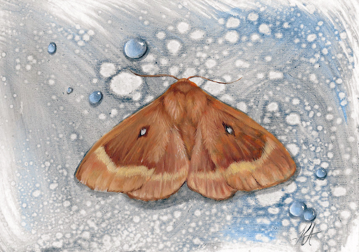 All Corners of the Earth