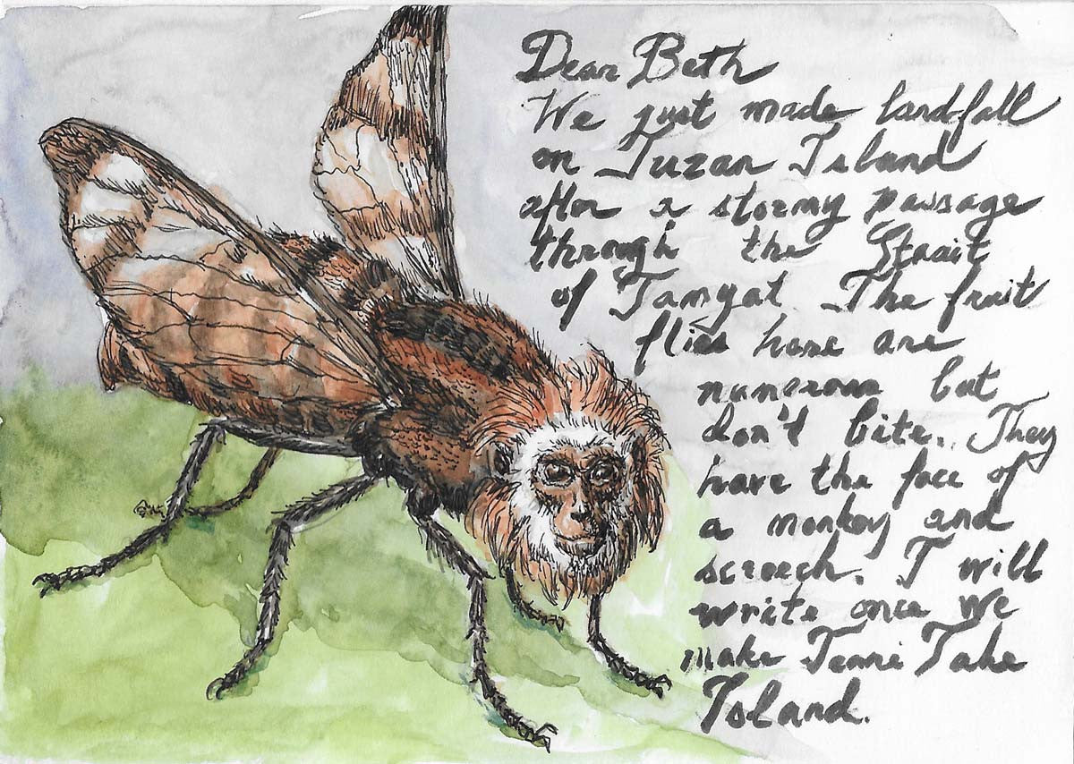 Tuzan Island-Tamaran Fruit Fly