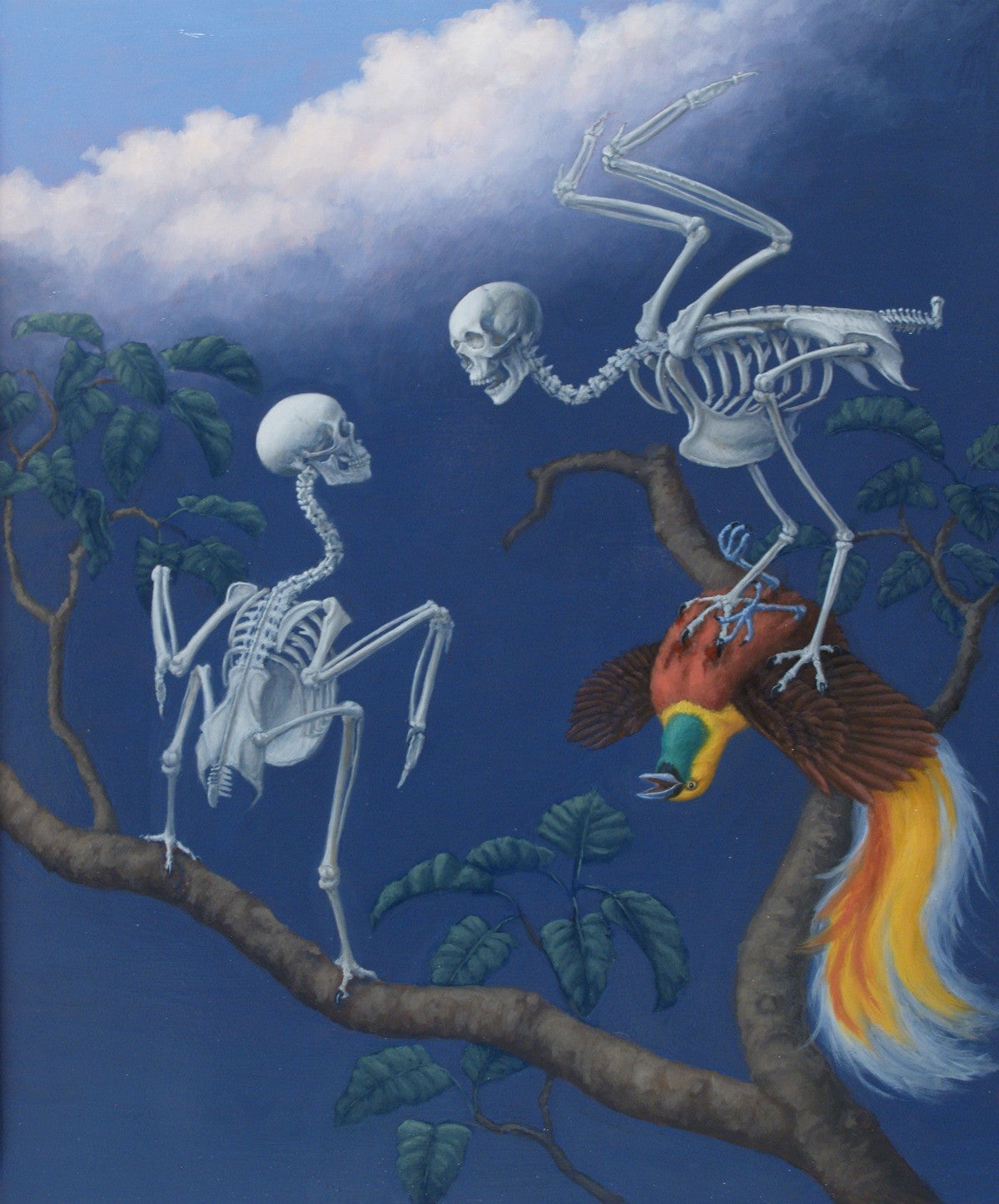 Death of the Bird of Paradise