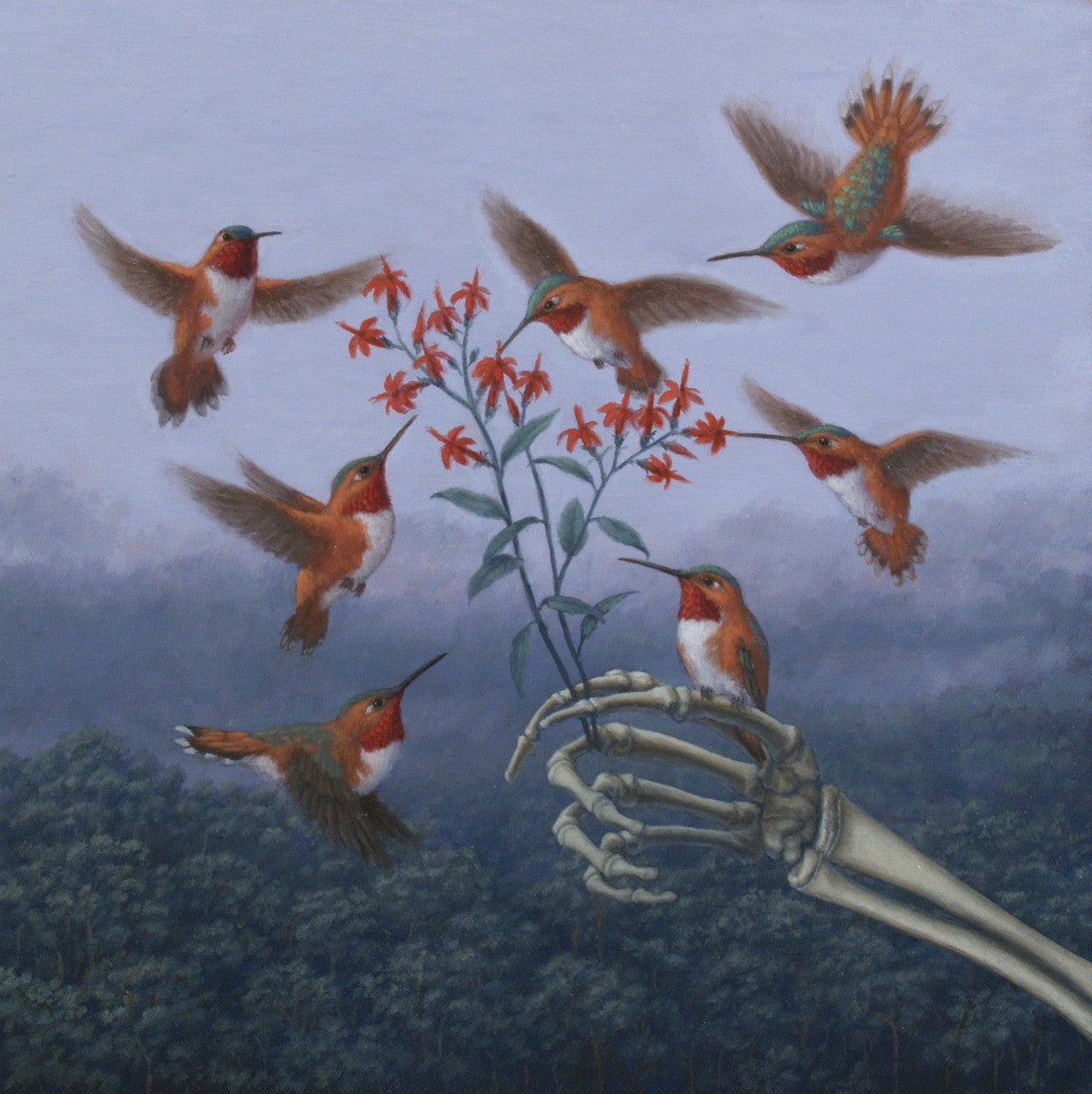 Hummingbirds and Hand