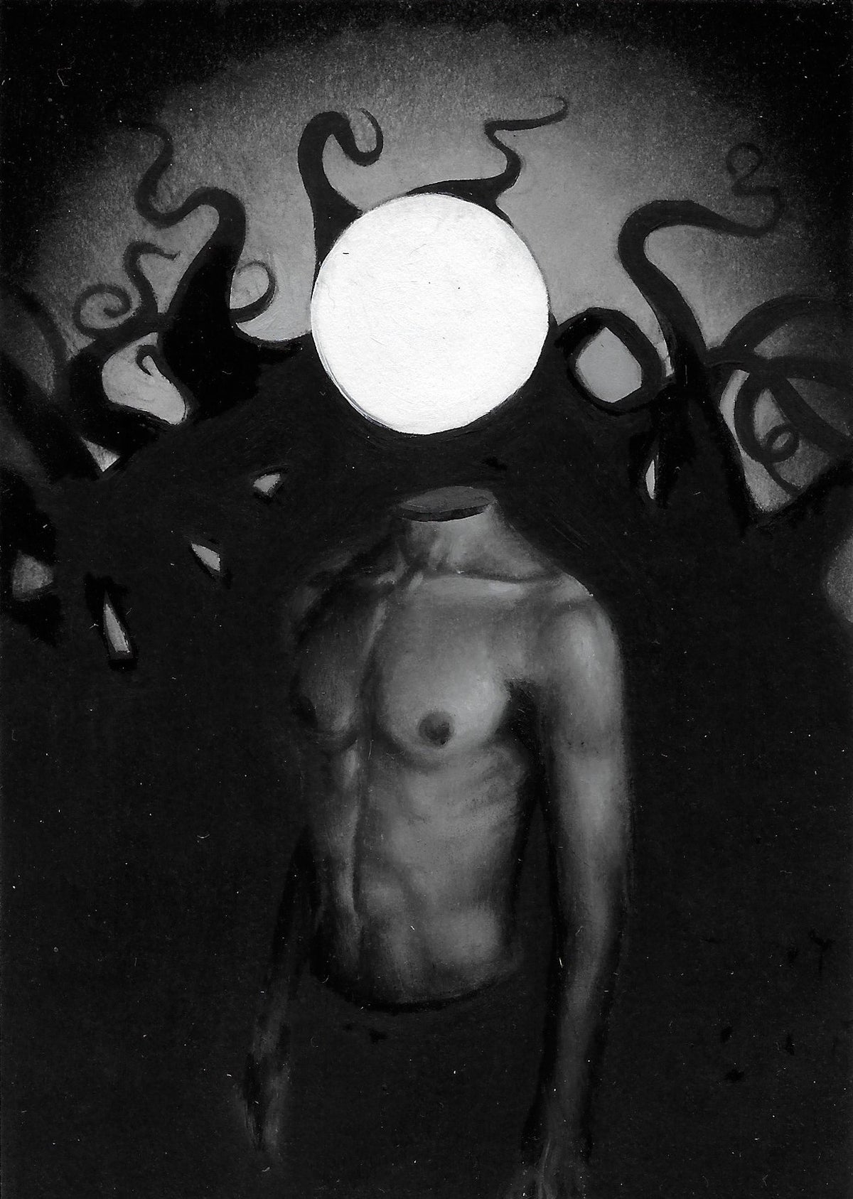 The Intrepid Traveller of the Immaginaine