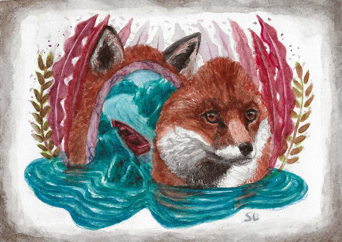 Homesick for the Unknown ~ Mr. Fox