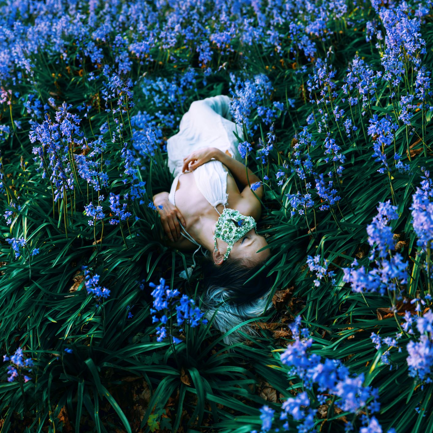 The Cadence of Spring