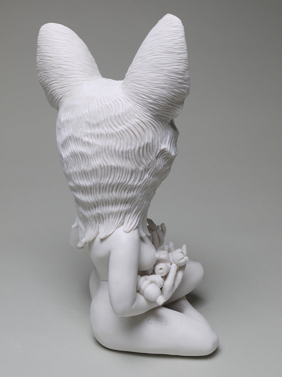 The Re Planting - Mountain Lion