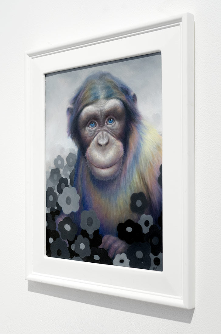Rainbow Chimp