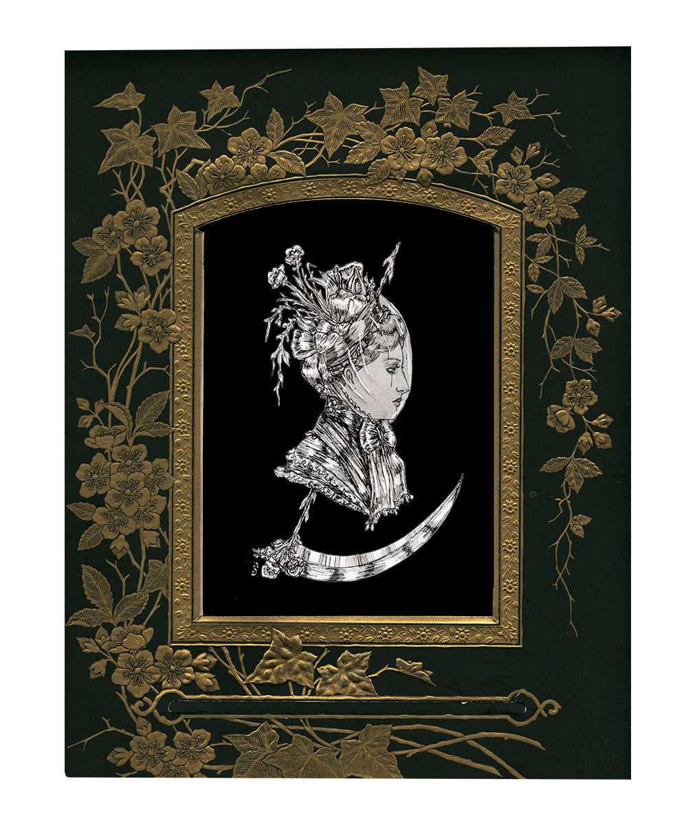 I Rise From the Roots and Foxgloves