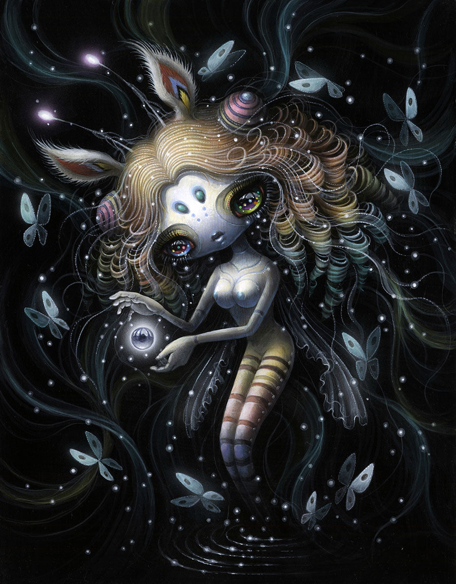 Phemera Danica's Love