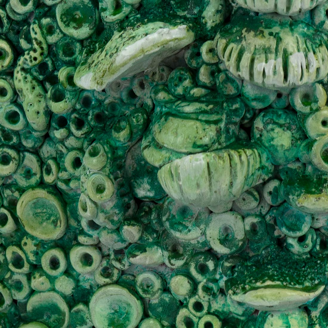 The Mushroom Gospels: Book of Alm