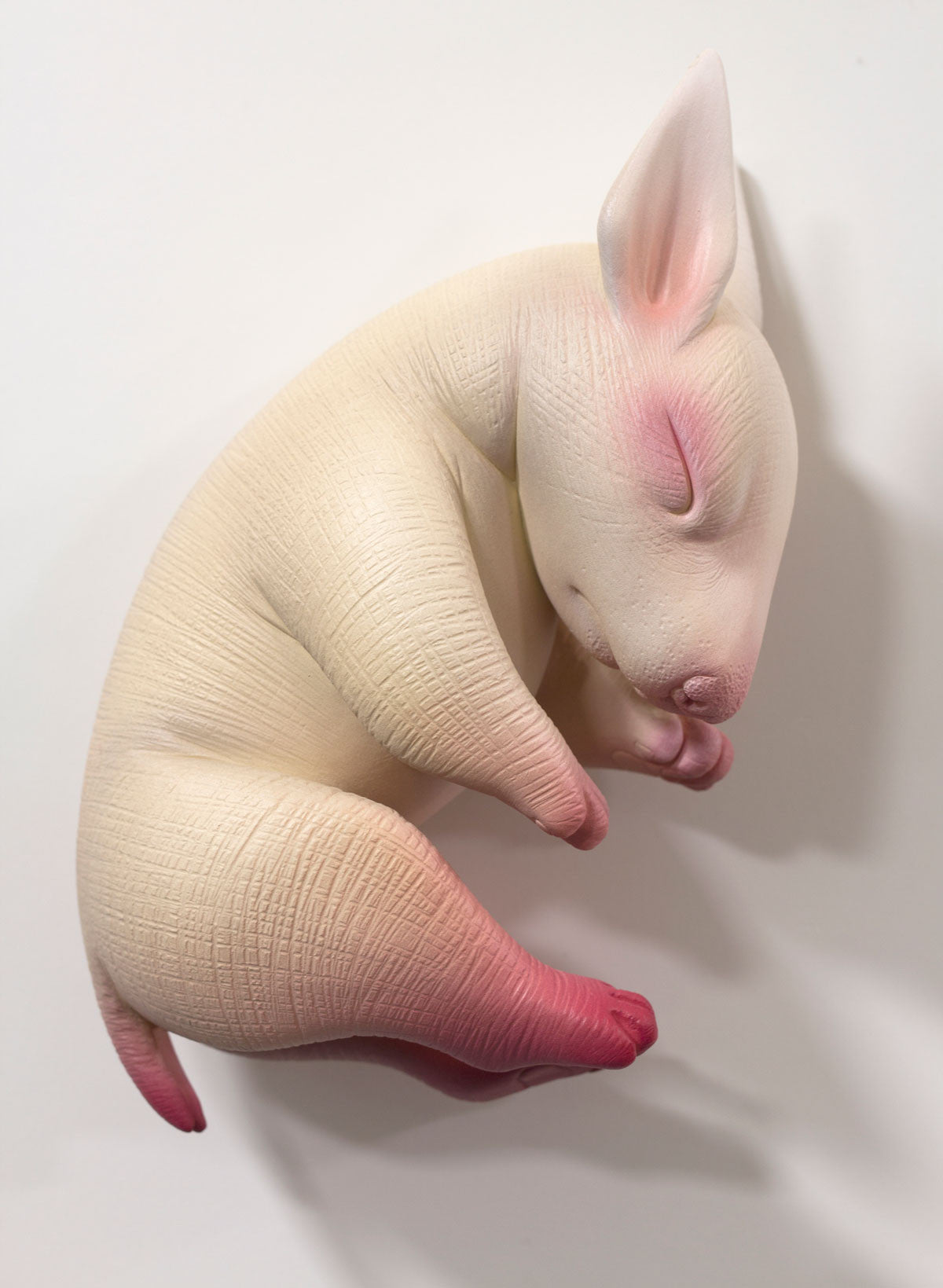 Two Tales - Bull Terrier