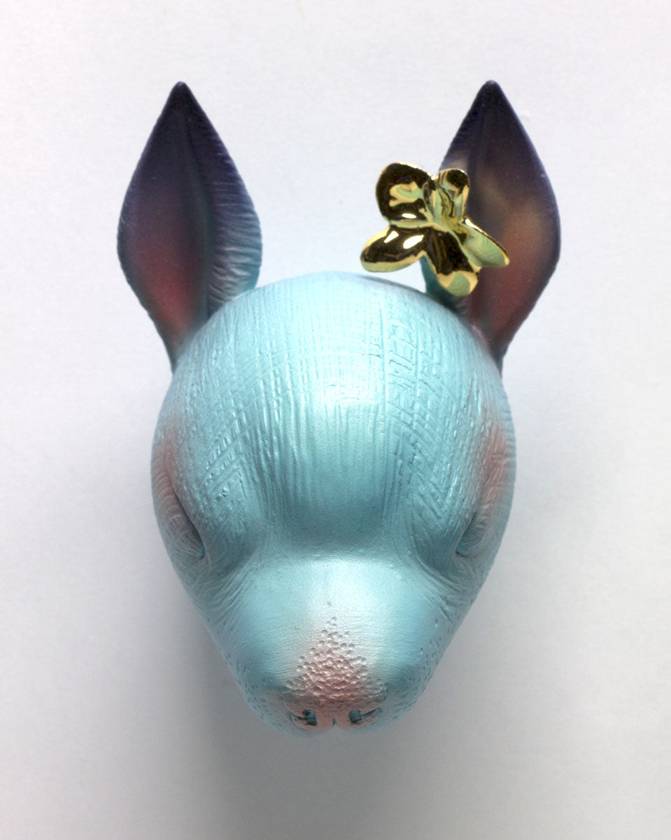 Chikkoi Warrior (Flower)