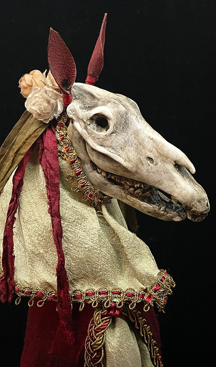 Mari Lwyd