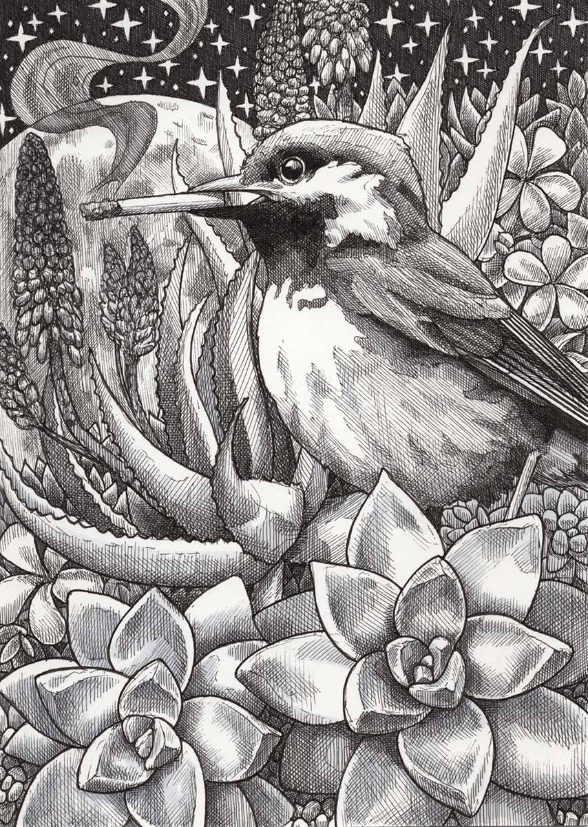 Smoking with the Stars 1