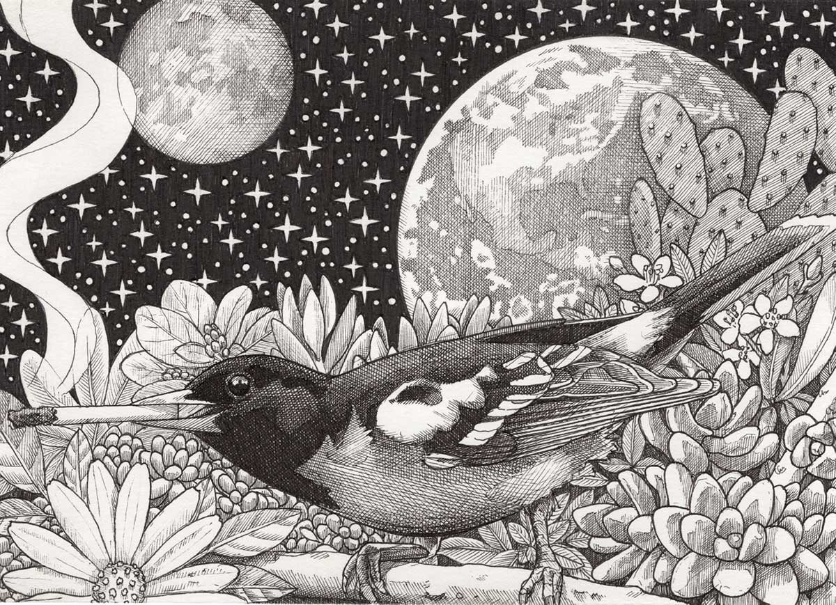 Smoking with the Stars 3