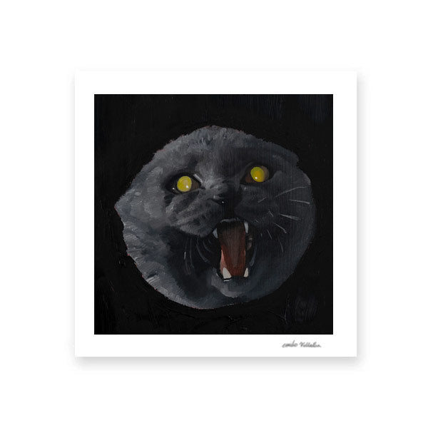 Cat Fine Art Print