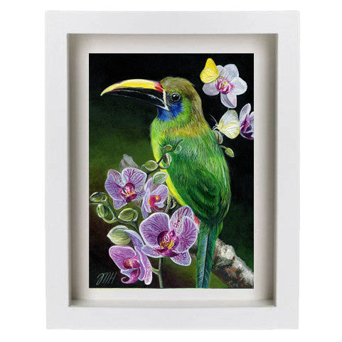 Emerald Toucanet