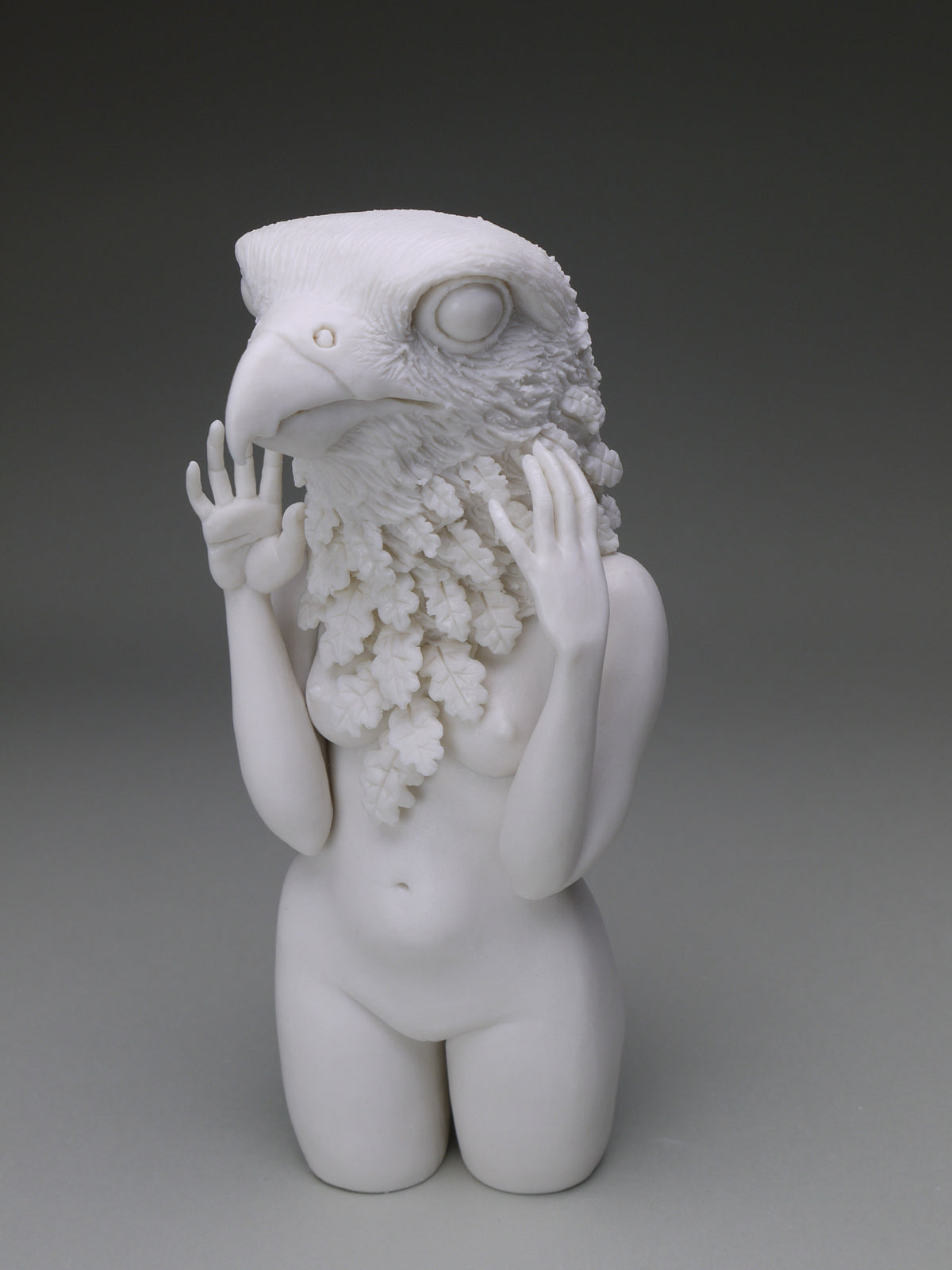 Delicate Dependency: Peregrine Falcon with White Oak