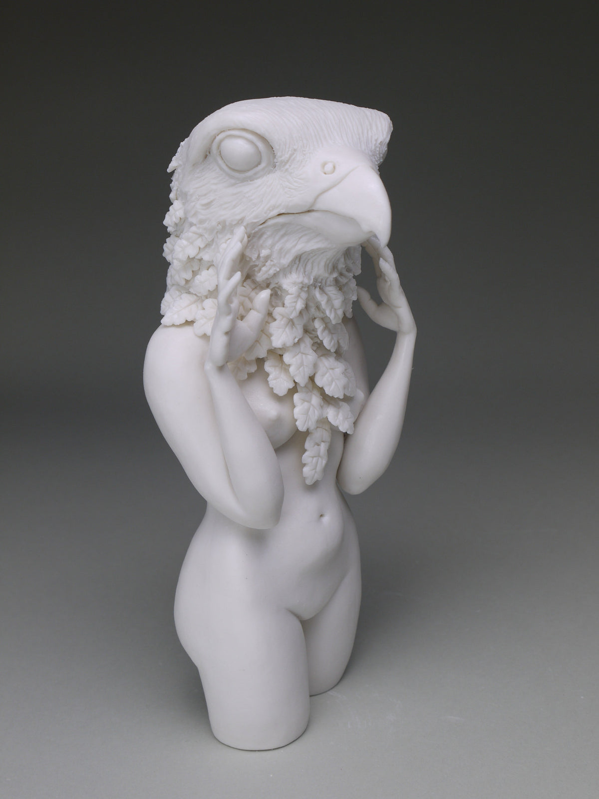 Delicate Dependency: Peregrine Falcon with White Oak