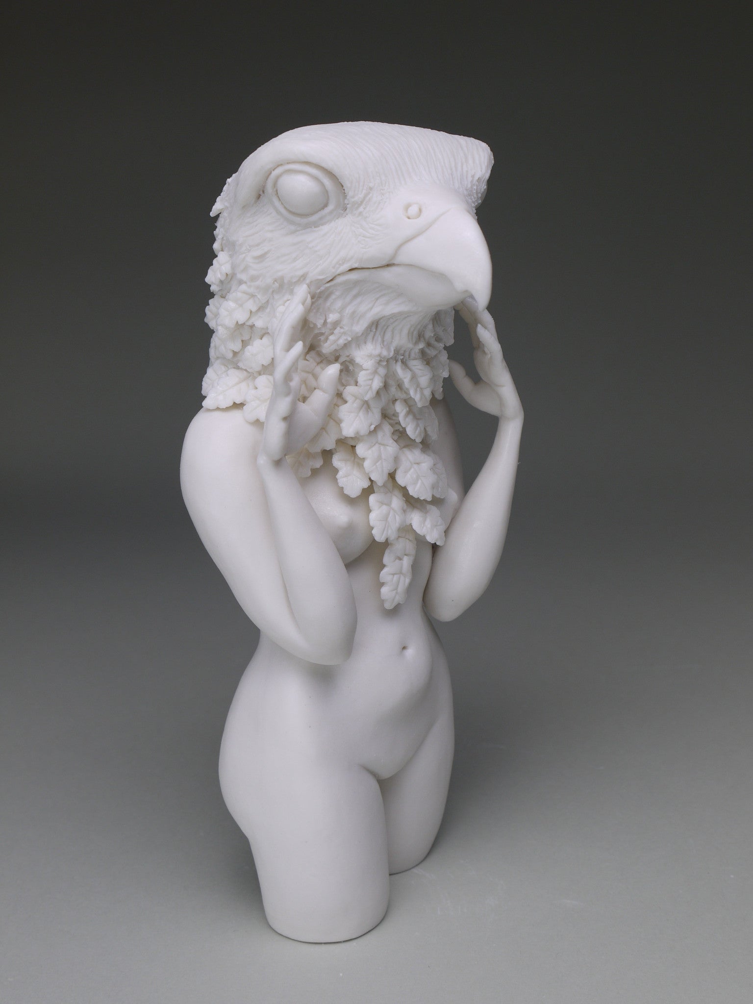 Delicate Dependency: Peregrine Falcon with White Oak