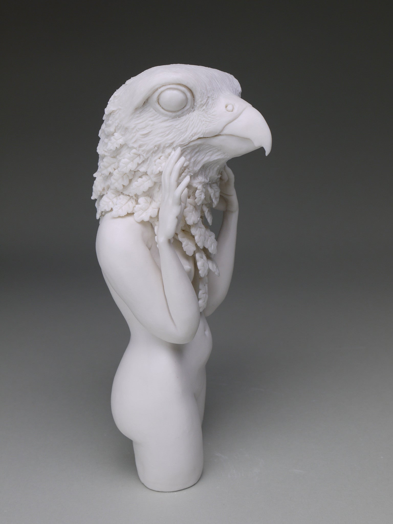 Delicate Dependency Peregrine Falcon with White Oak Modern Eden Gallery