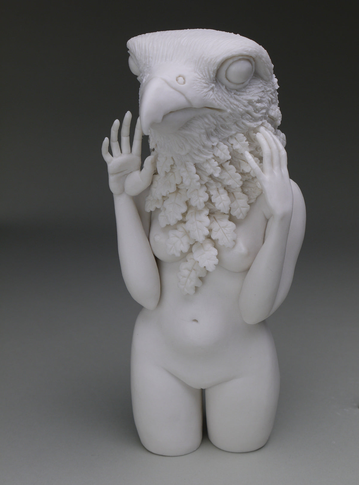 Delicate Dependency: Peregrine Falcon with White Oak